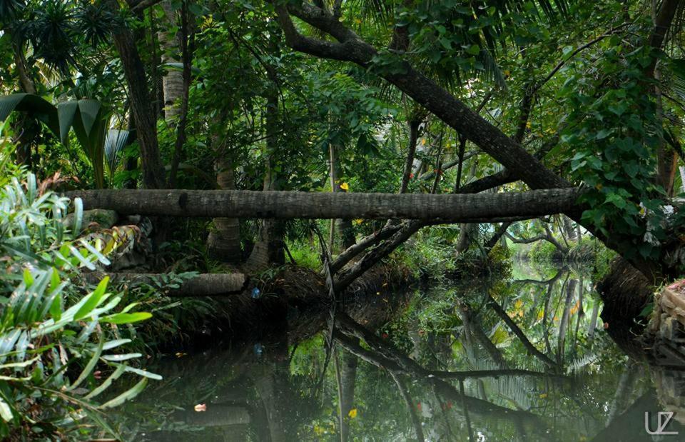 Munroe Meadows Διαμέρισμα Mundrothuruth Εξωτερικό φωτογραφία