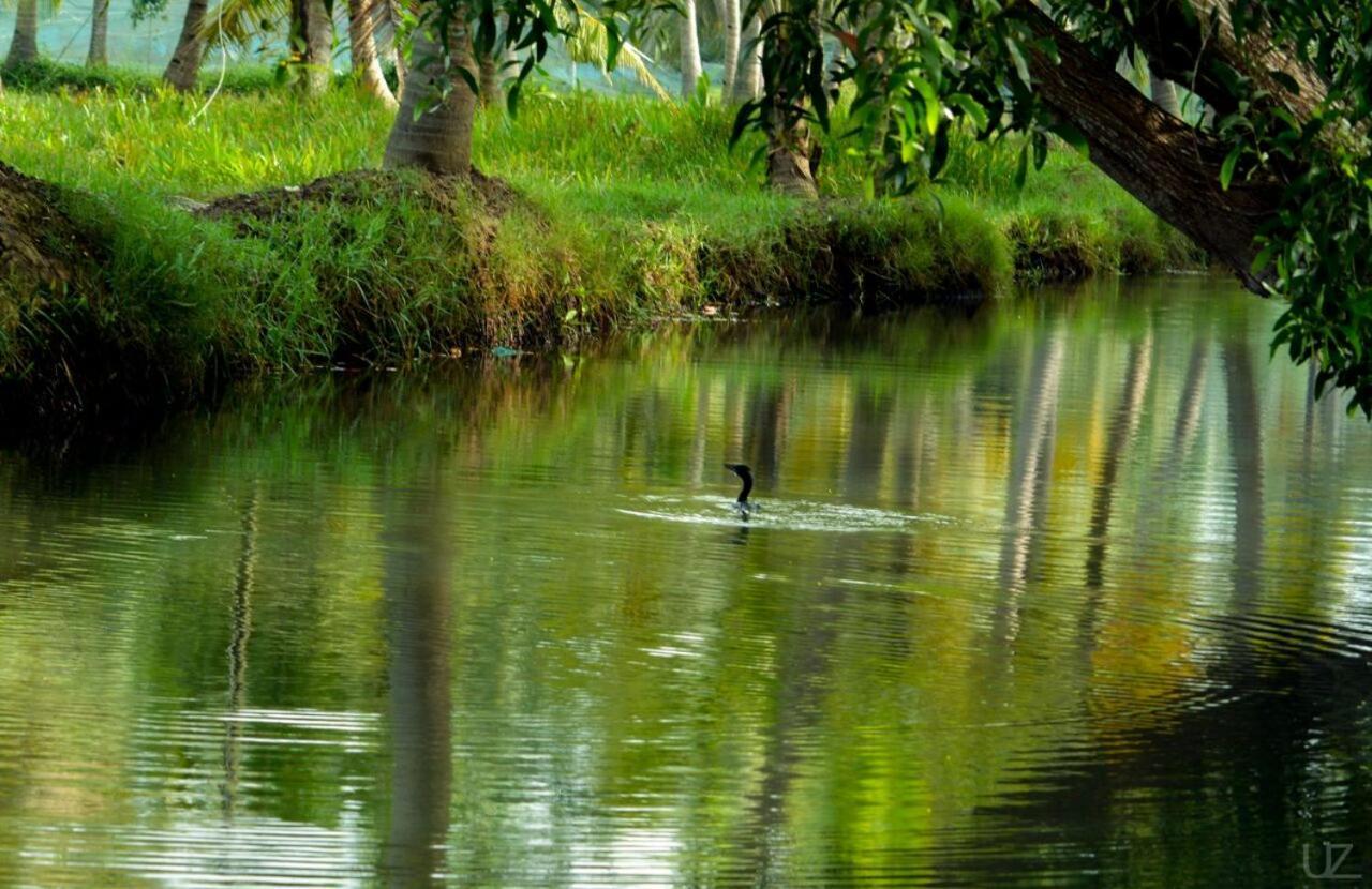 Munroe Meadows Διαμέρισμα Mundrothuruth Εξωτερικό φωτογραφία